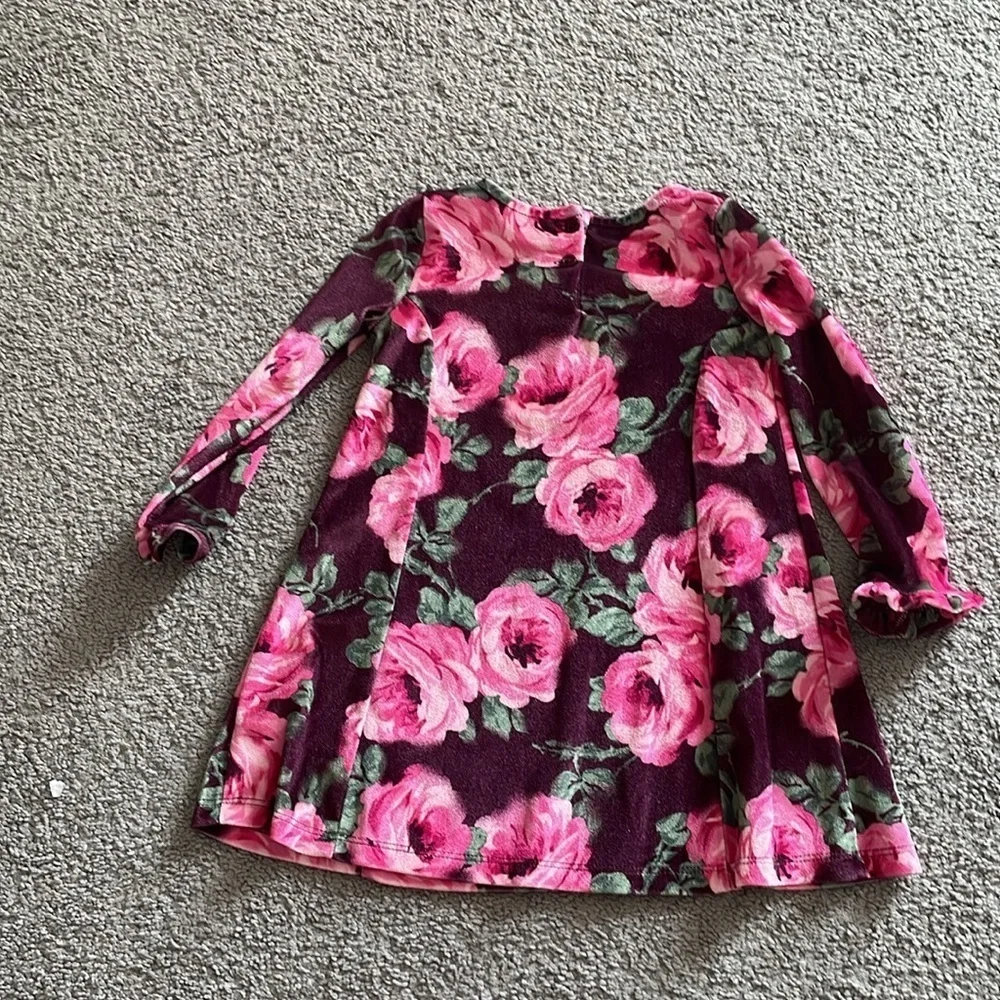 Gymboree 2021 Pink Burgundy Floral Velvet Dress & Pants Set | Size 2T